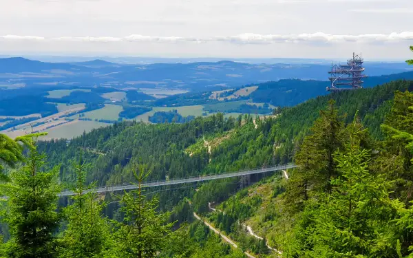 Widok na najdłuższy most w Czechach, zawieszony nad zieloną doliną pełną drzew. W oddali widać wieżę widokową.