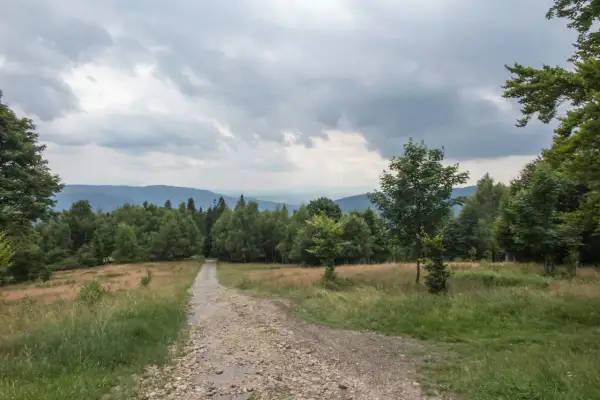 Kamienista ścieżka prowadzi przez trawiaste zbocze ku lasowi. To idealna trasa na spacer po hrobaczej łące, z widokiem na górzyste pasma w oddali.