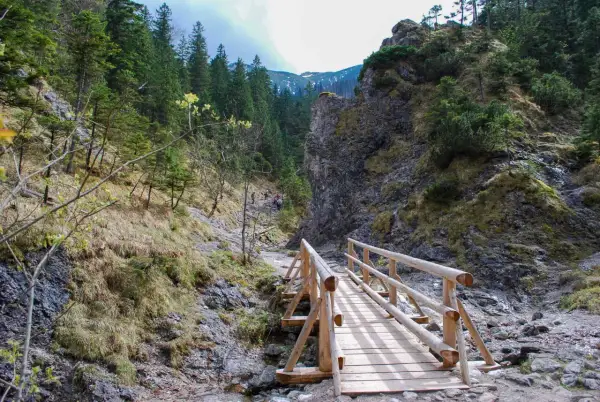 Drewniany mostek w Dolinie Białego, Zakopane. Ścieżka wśród skał i zieleni prowadzi w góry.